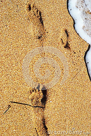 Footprint of the child on the sand on the beach Stock Photo